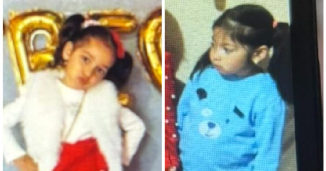 Cele două fetițe care au fost date dispărute în Mureș au fost descoperite în viață de către un pădurar, într-o localitate retrasă.