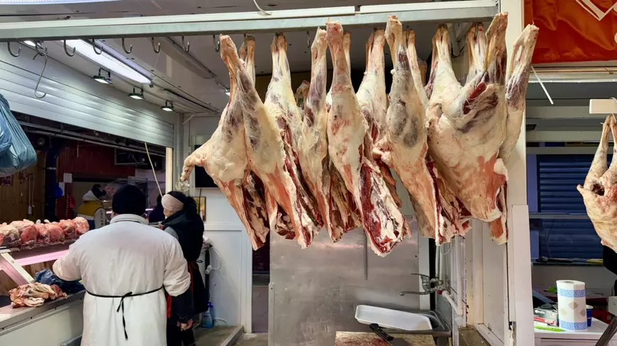 Prețul mielului de Paște 2026: Care este prețul kilogramului de carne de miel în București? Prețul mielului de Paște 2026: Care este prețul kilogramului de carne de miel în București?