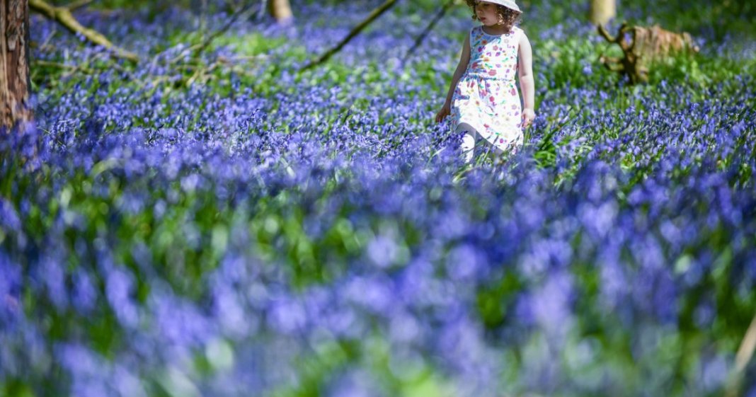 Prognoza vremii pentru următoarele 4 săptămâni: temperaturi mai ridicate decât cele obișnuite pentru această perioadă, potrivit specialiștilor în meteorologie.